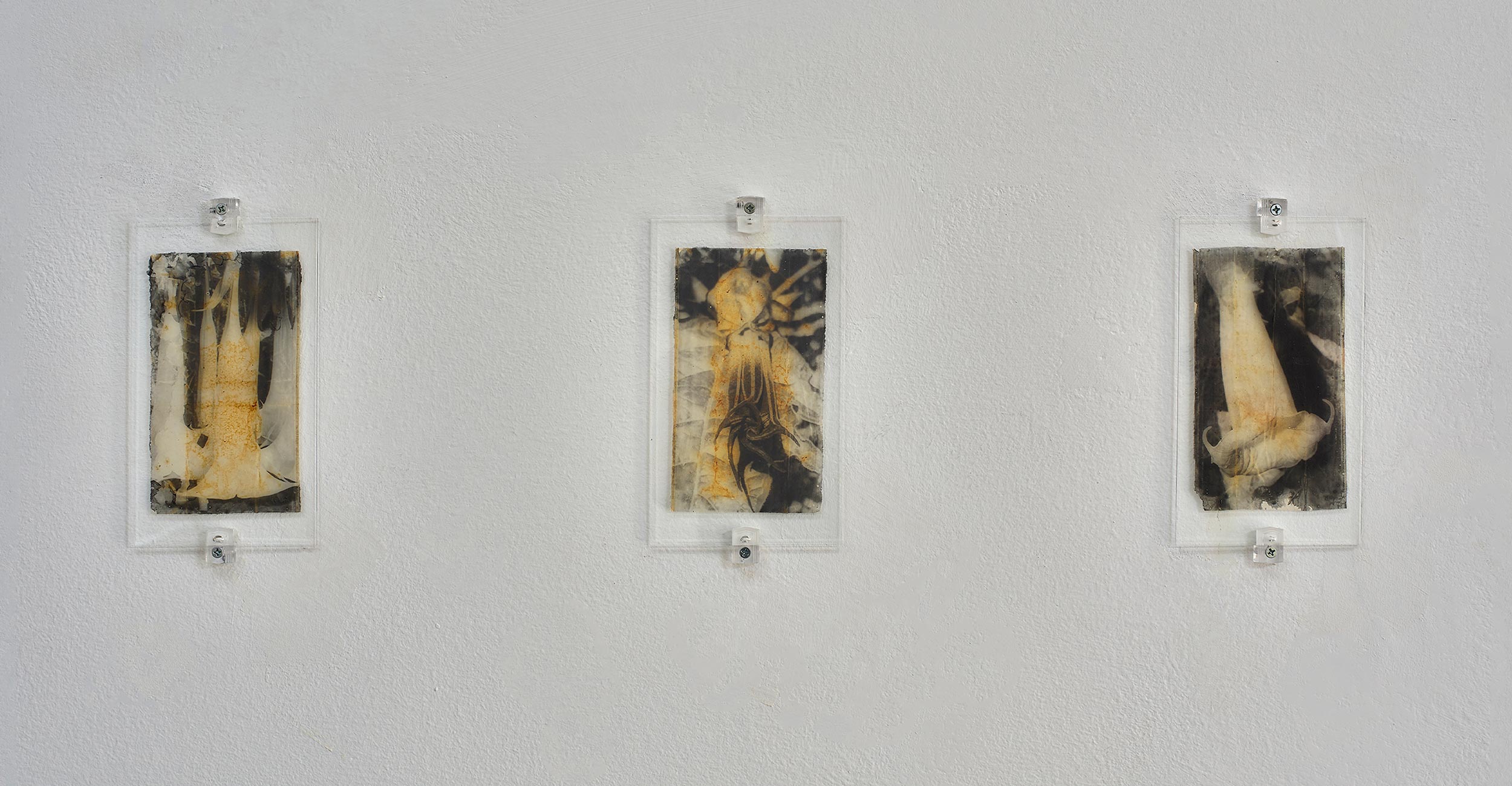 All in.