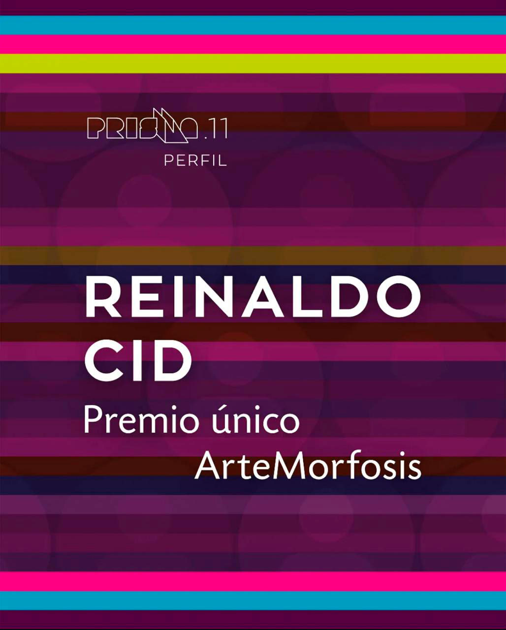 Reinaldo Cid. Premio Prisma 11. El retrato