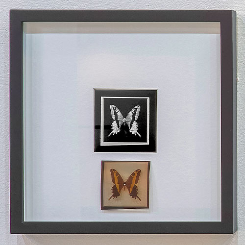 Después de la ilusión