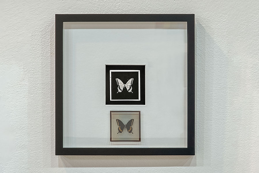 Detalle 2. Bloque 3.