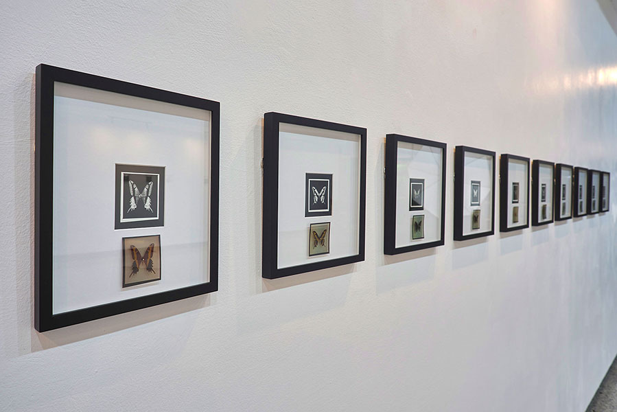 Después de la ilusión