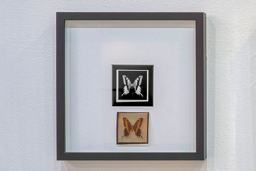 Detalle 1. Bloque 1.