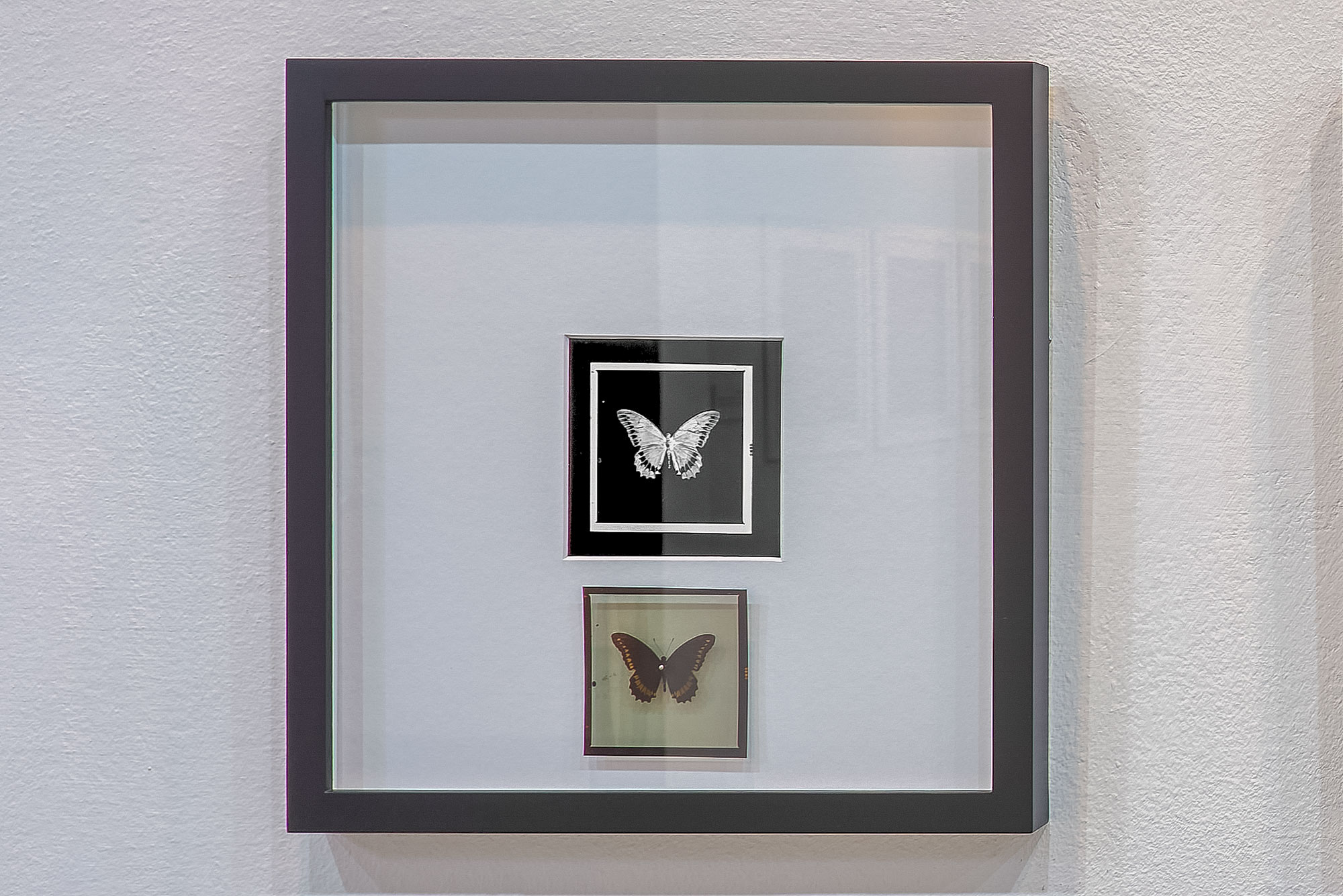 Detalle 1. Bloque 2.