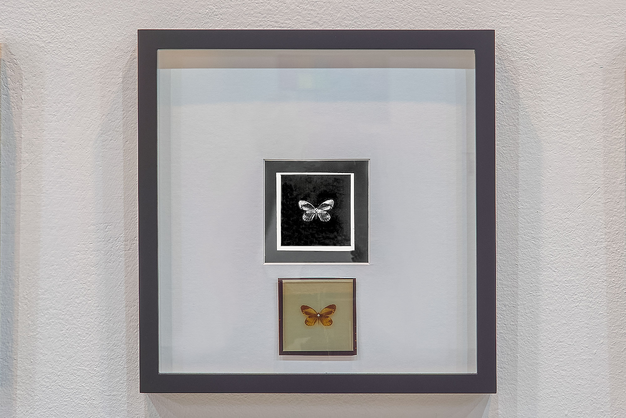 Detalle 2. Bloque 2.