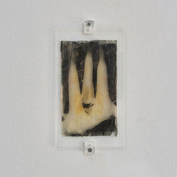 Settings. Conjunto 2.