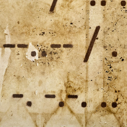 Dentro del bosque eres tu silencio